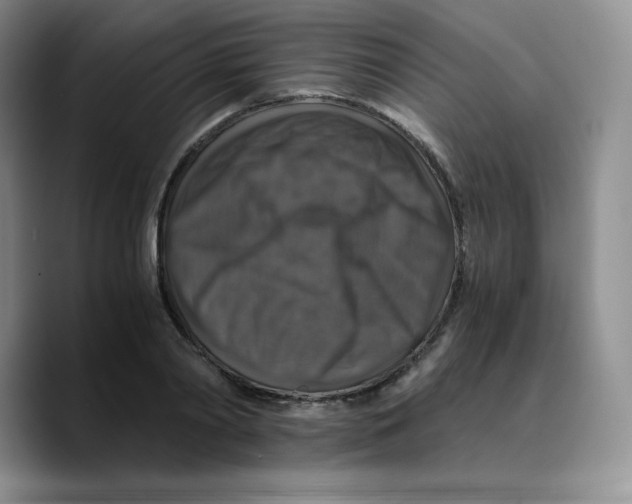 X0000089690790200707201719