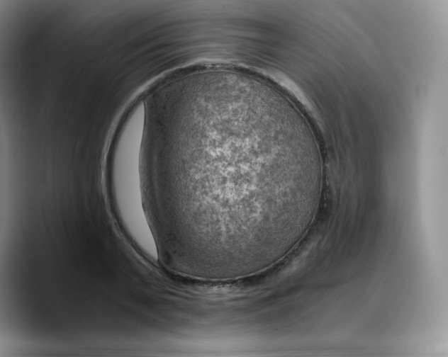 X0000089690791200707201719