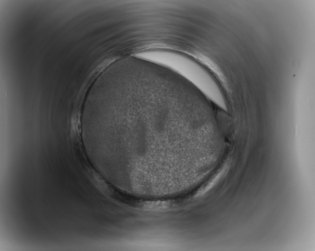 X0000089690793200707201719