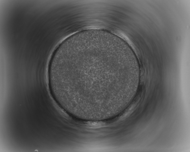 X0000089690795200707201719