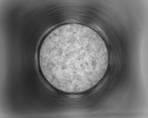 X0000089690796200707201719