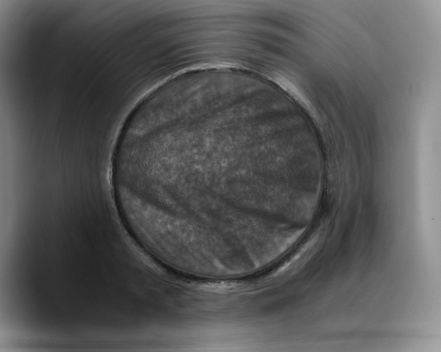 X0000089690797200707201719