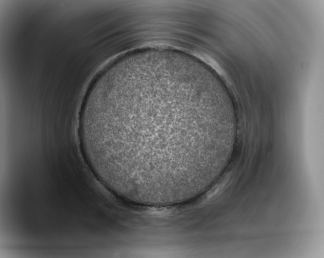 X0000089690799200707201719