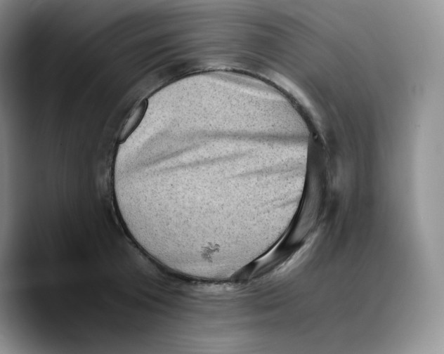 X0000089690801200707201719
