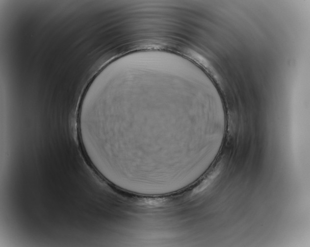 X0000089690802200707201719