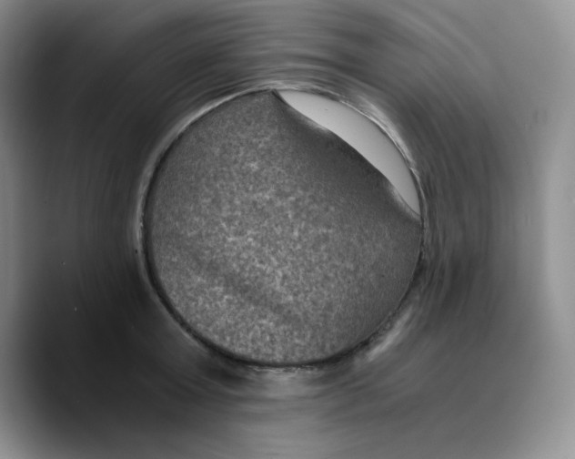 X0000089690803200707201719