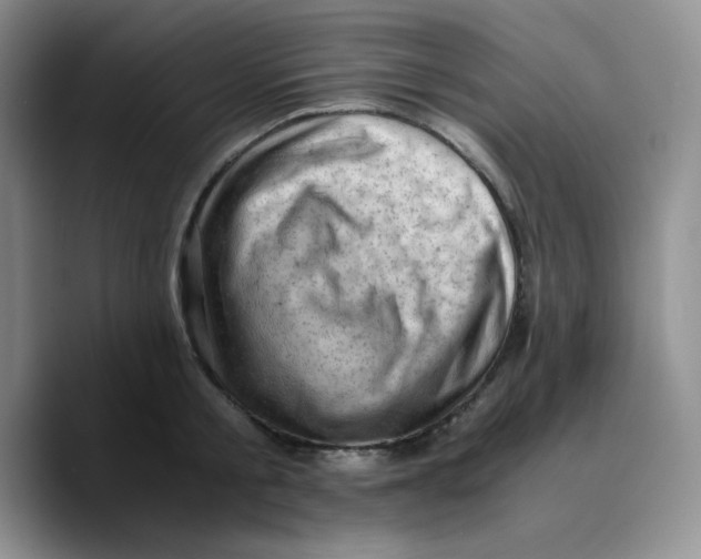 X0000089690805200707201719