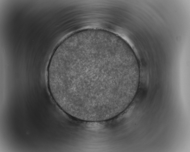 X0000089690807200707201719