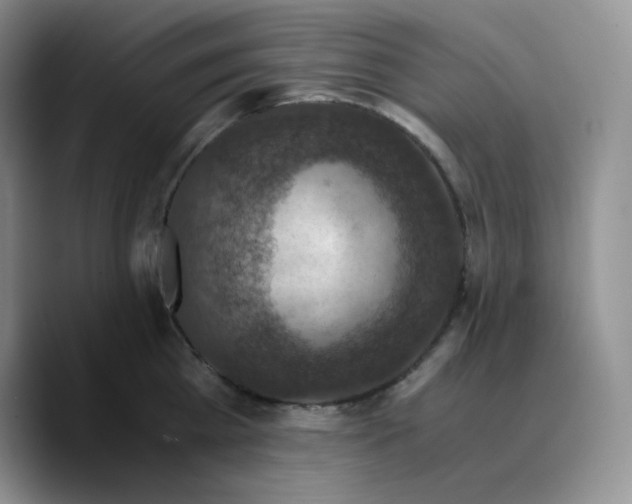 X0000089690809200707201719