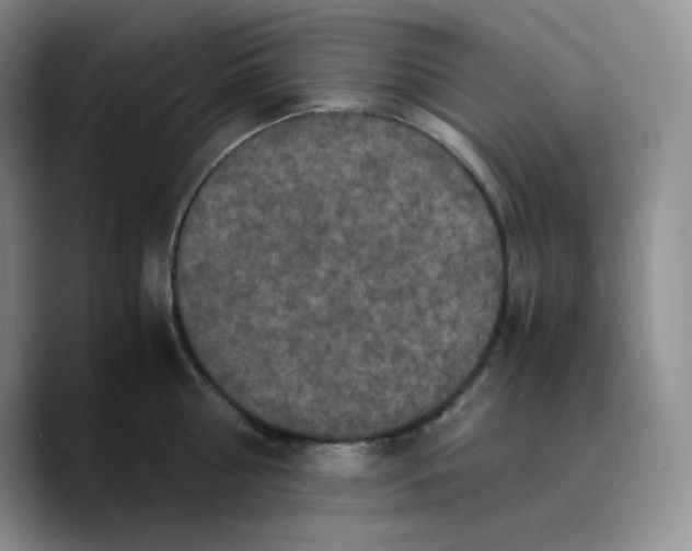 X0000089690810200707201719