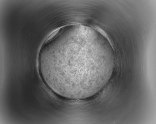 X0000089690811200707201719