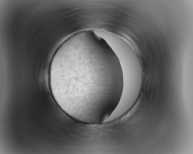 X0000089690812200707201719