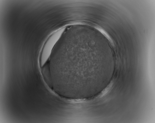 X0000089690813200707201719