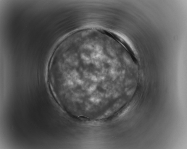 X0000089690815200707201719