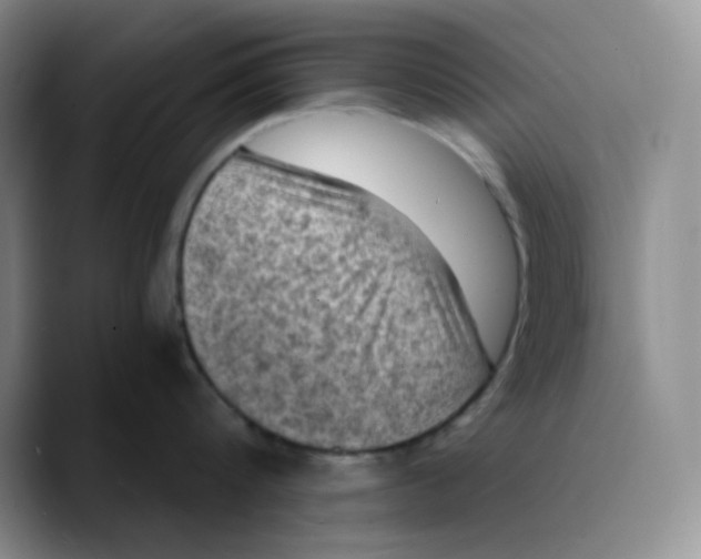 X0000089690816200707201719