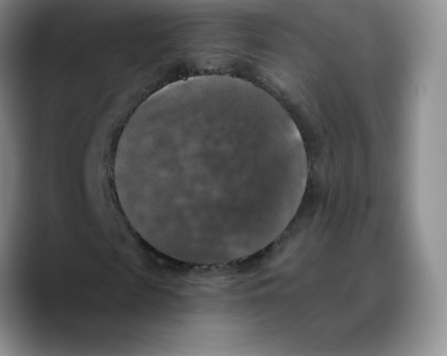 X0000089690817200707201718