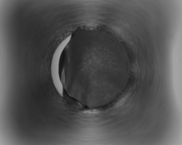 X0000089690818200707201718