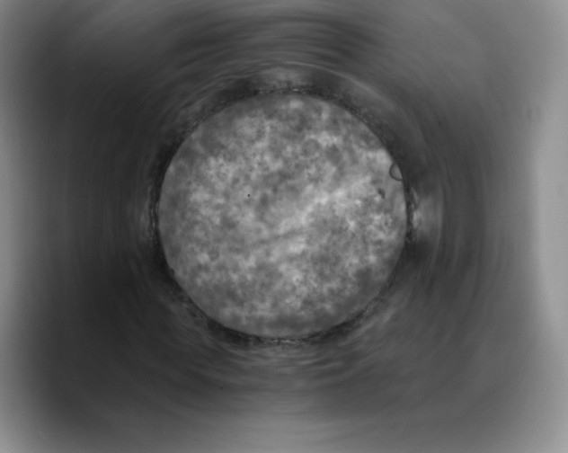 X0000089690819200707201718