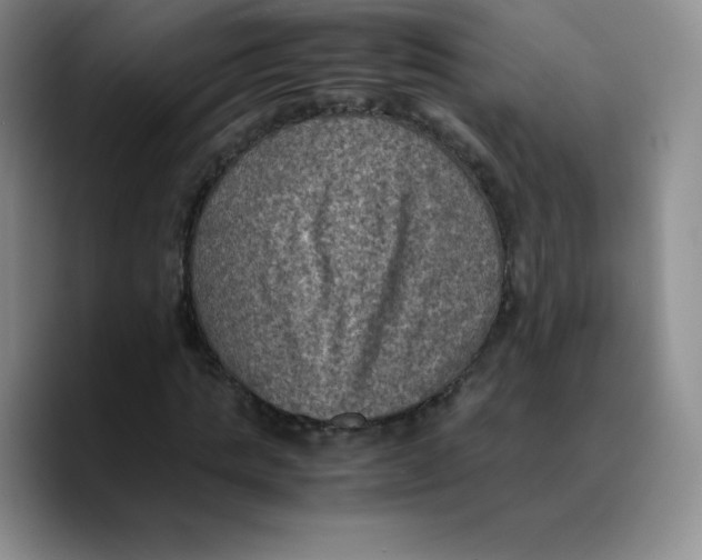 X0000089690821200707201718