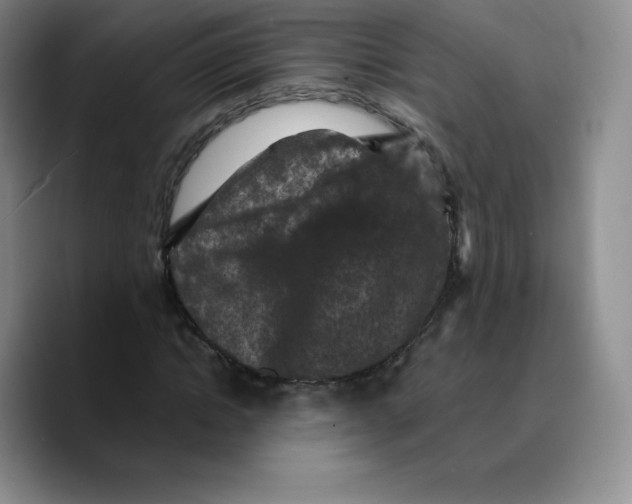 X0000089690822200707201718