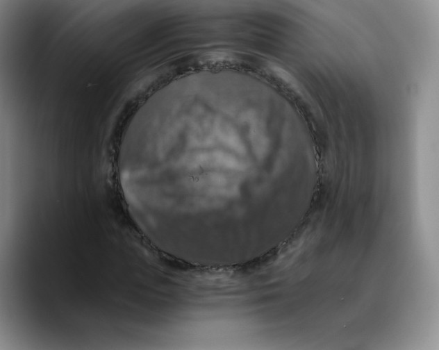 X0000089690823200707201718