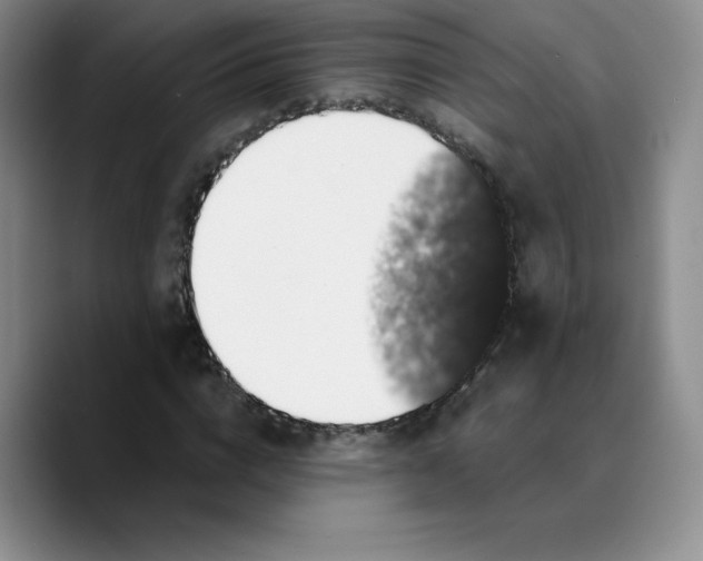 X0000089690824200707201718