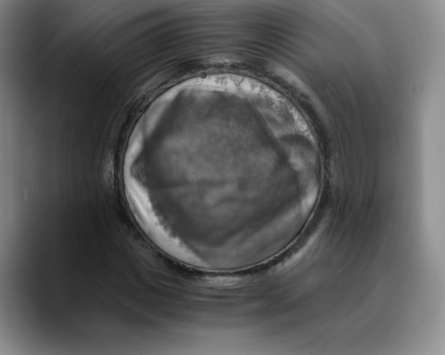 X0000089690825200707201718