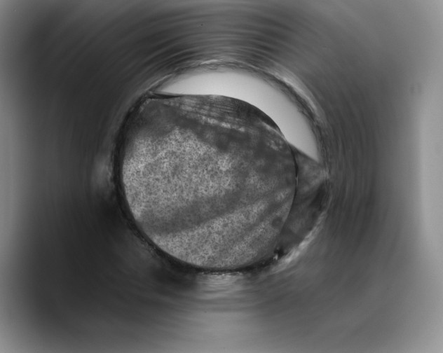 X0000089690826200707201718