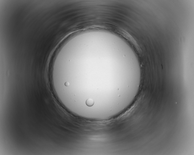 X0000089690828200707201718