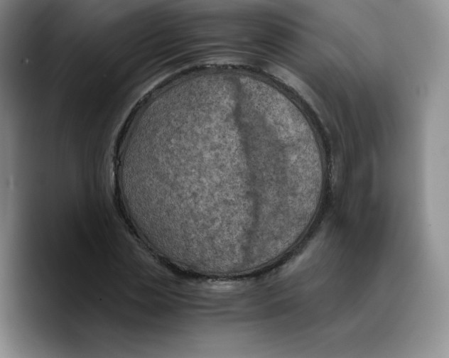X0000089690829200707201718