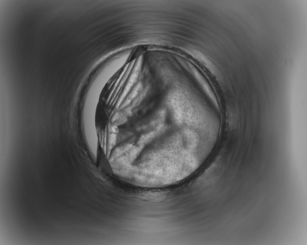 X0000089690830200707201718
