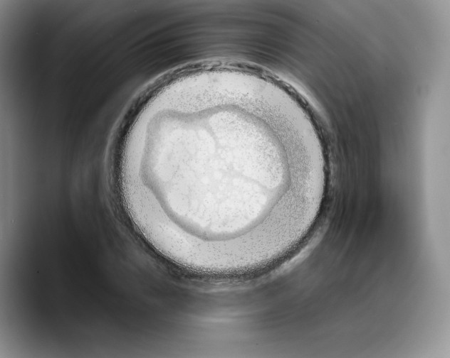 X0000089690832200707201718