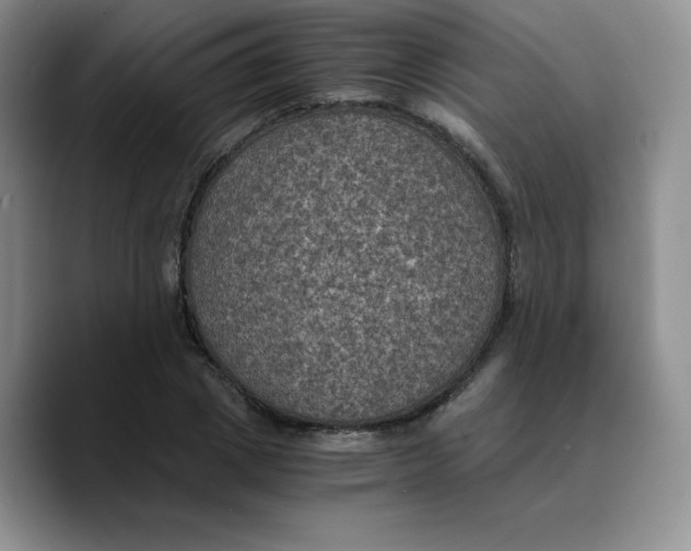 X0000089690833200707201718