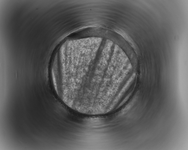 X0000089690834200707201718