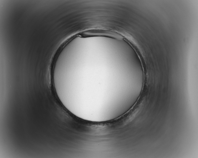 X0000089690838200707201718