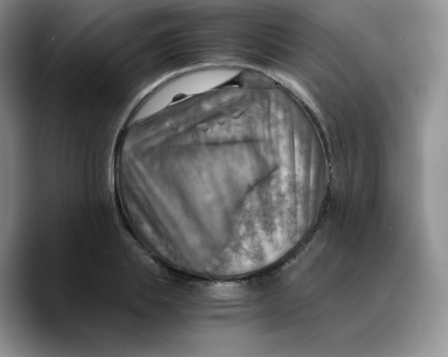 X0000089690839200707201718