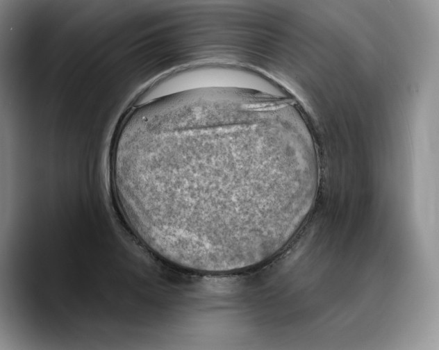 X0000089690840200707201718