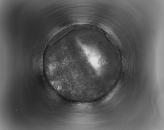 X0000089690842200707201718
