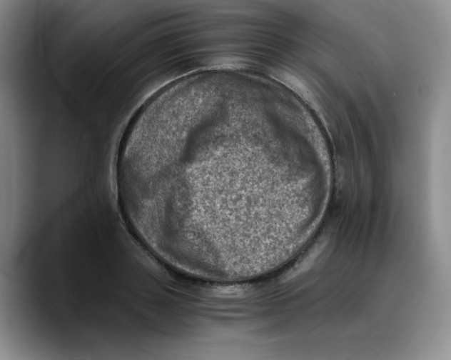 X0000089690843200707201718