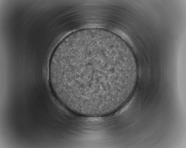 X0000089690844200707201718
