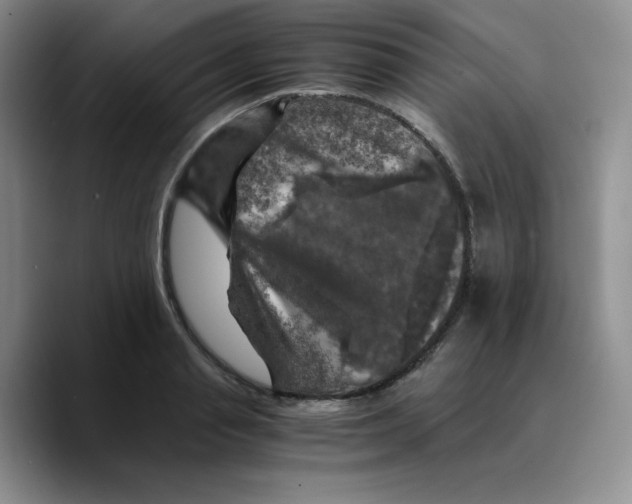 X0000089690845200707201718