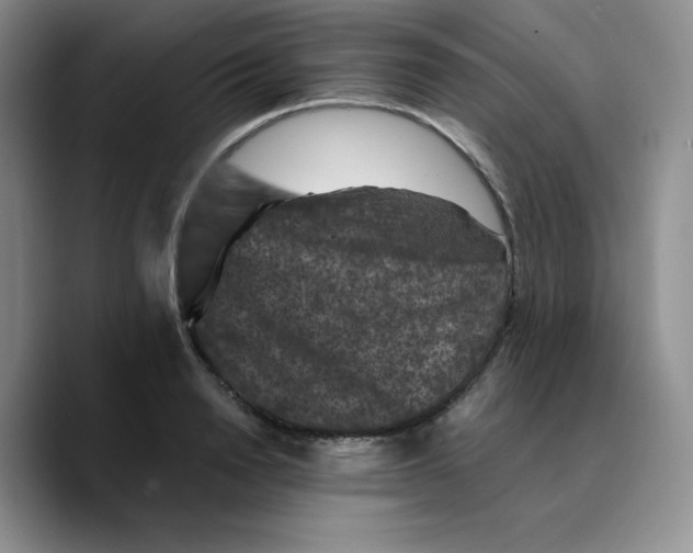 X0000089690846200707201718