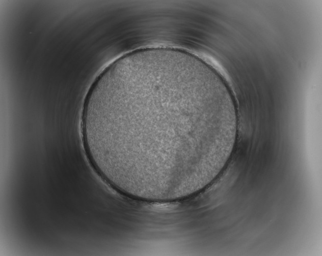 X0000089690847200707201718