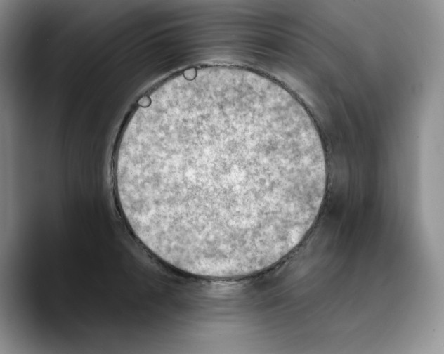 X0000089690848200707201718