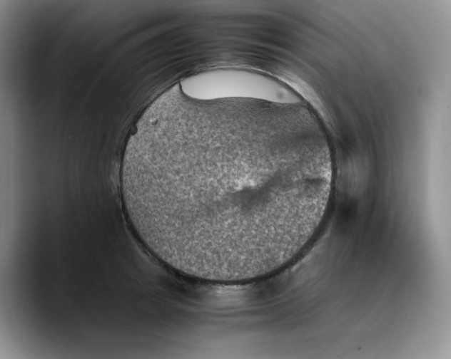 X0000089690849200707201718