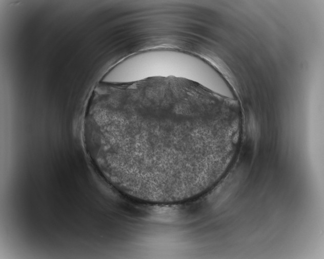 X0000089690850200707201718