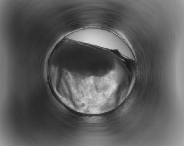X0000089690851200707201718