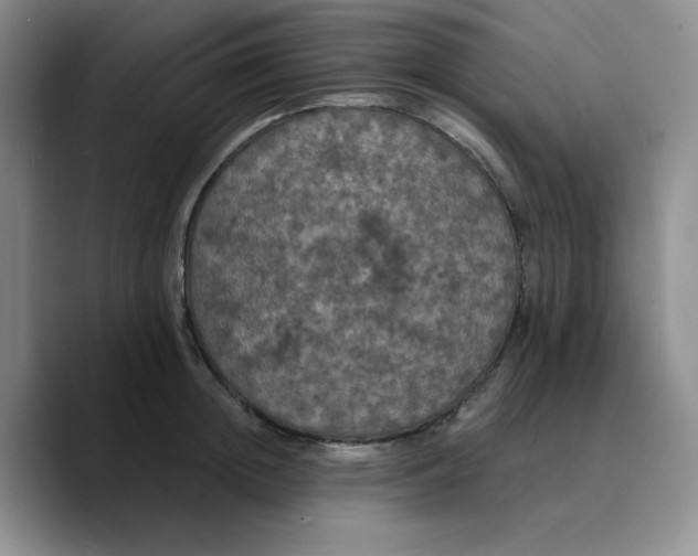 X0000089690852200707201718