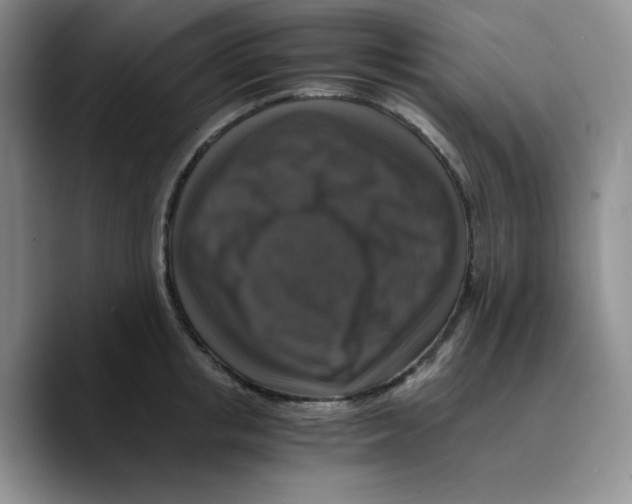 X0000089690853200707201718