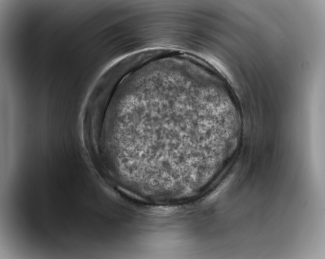 X0000089690854200707201719